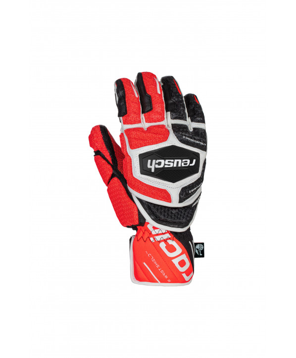 Gants de ski Homme Worldcup Warrior GS