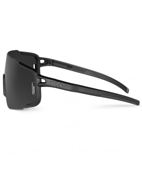 Lunettes de soleil Ronin Max Polarized