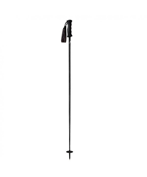 Batons de ski LX Carbon