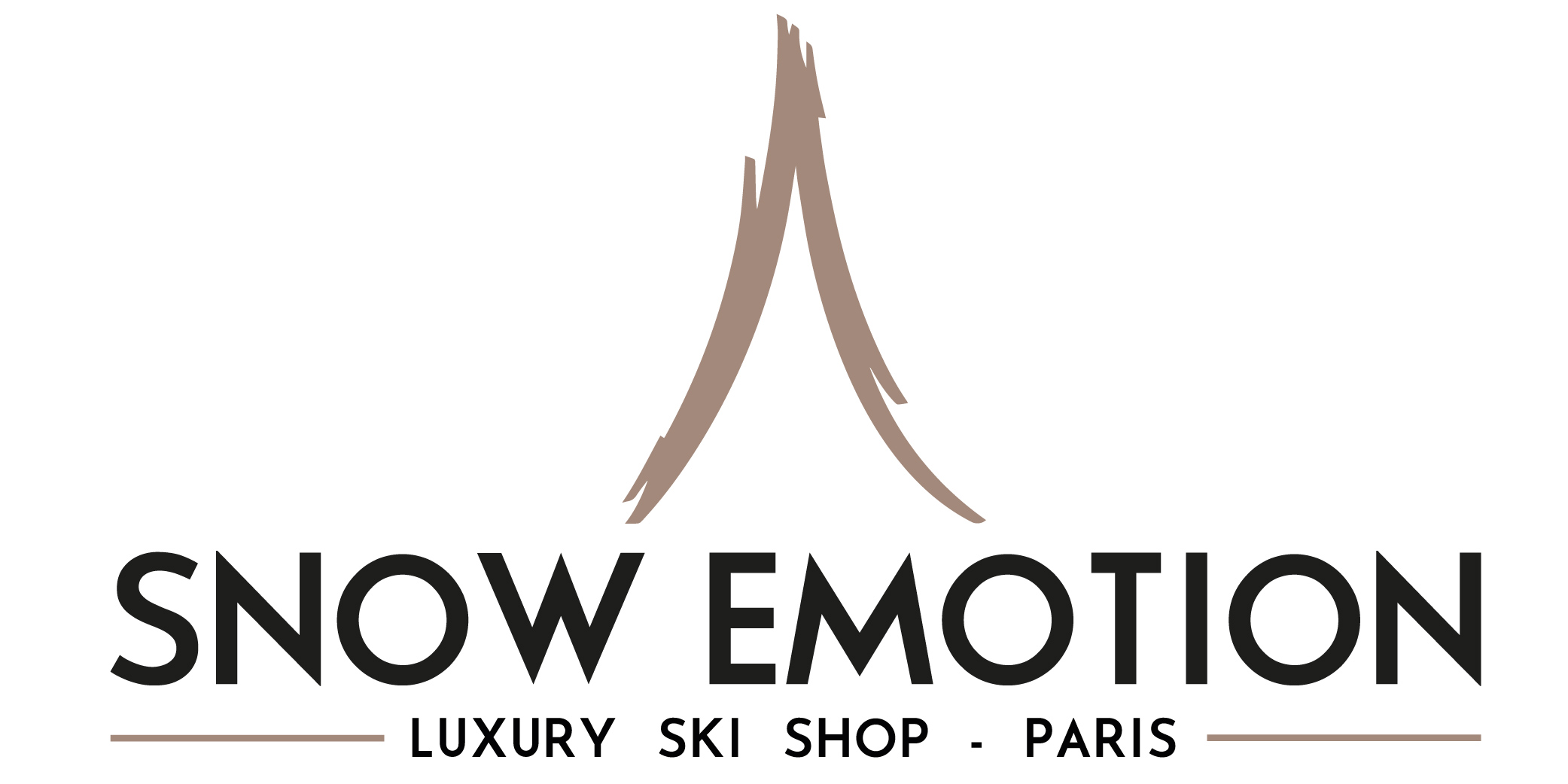 Logo Snow Emotion horizontal couleur bas